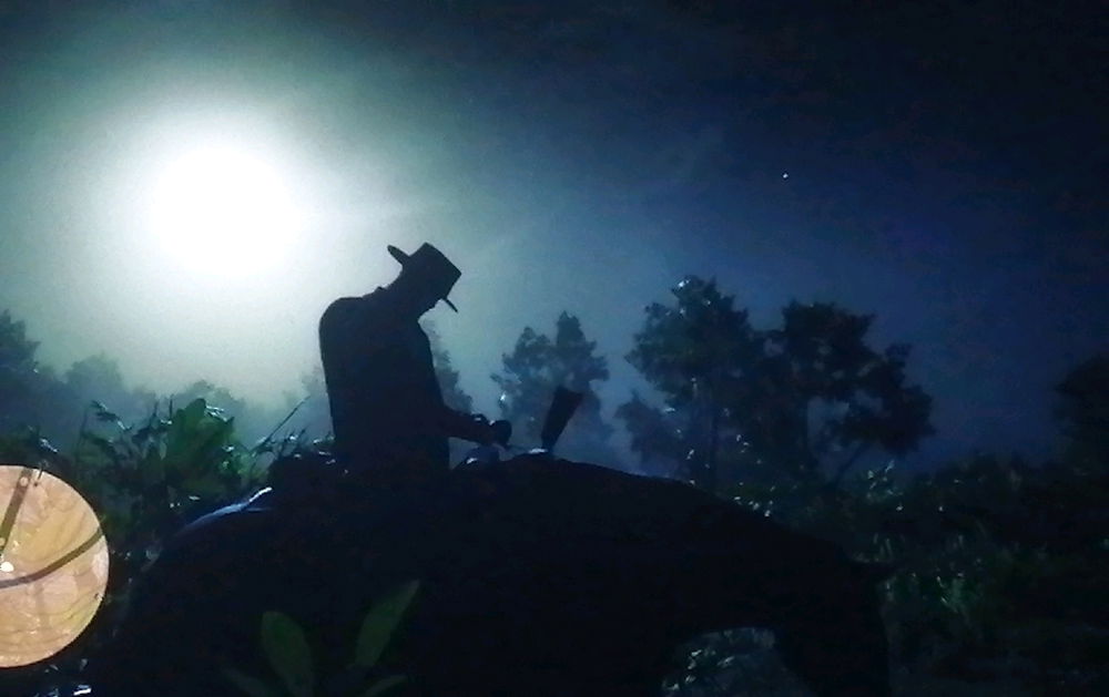 Siéntate un rato vaquero. Todo saldrá bien. Red Dead Redemption 2.
