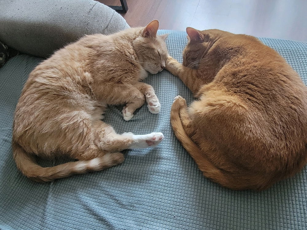 Stan and Debbie