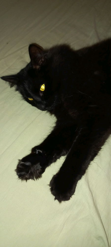 Demon on the outside, cutie on the inside
