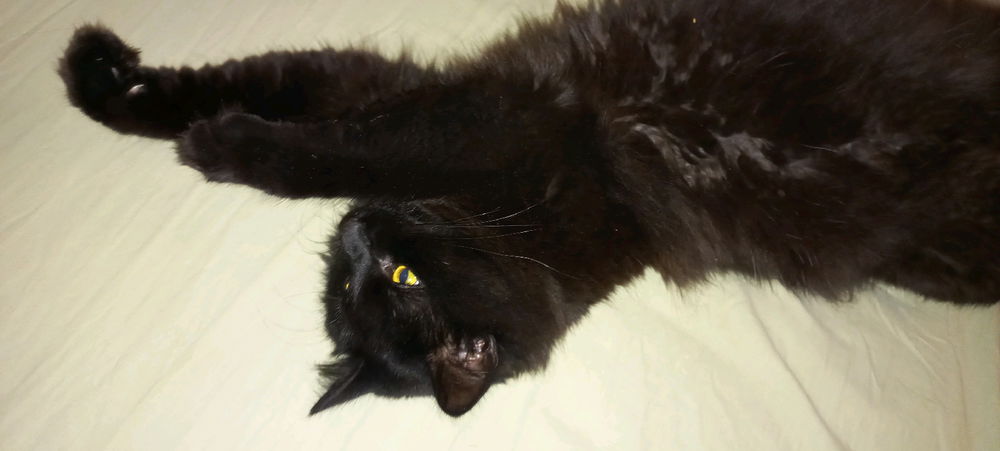 Demon on the outside, cutie on the inside