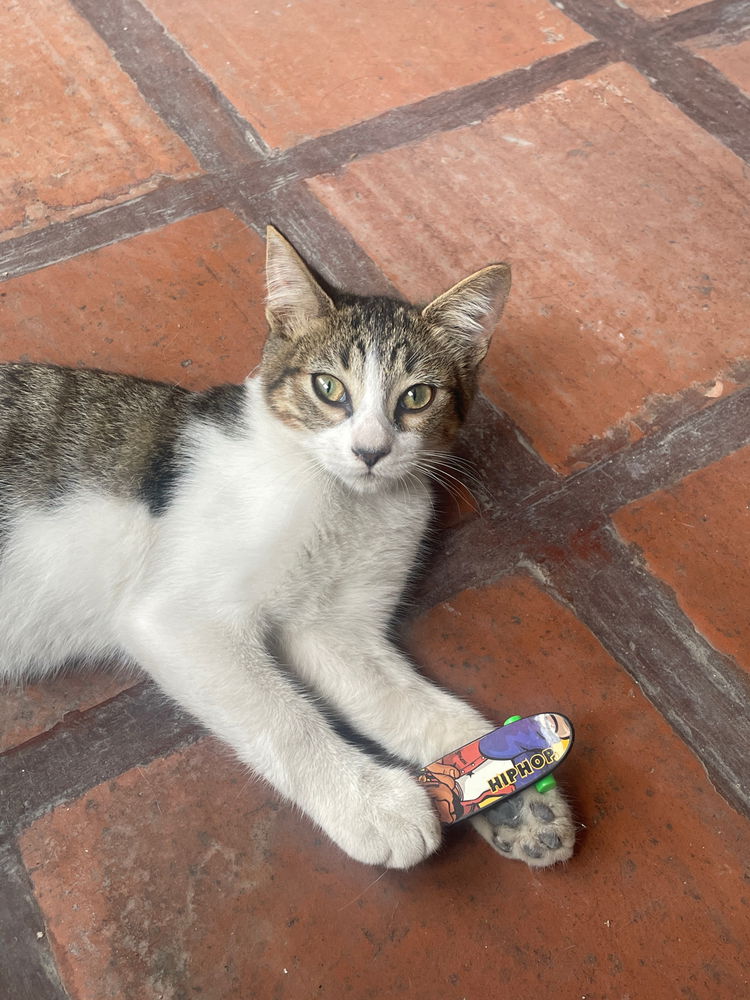 Ferxxo José David