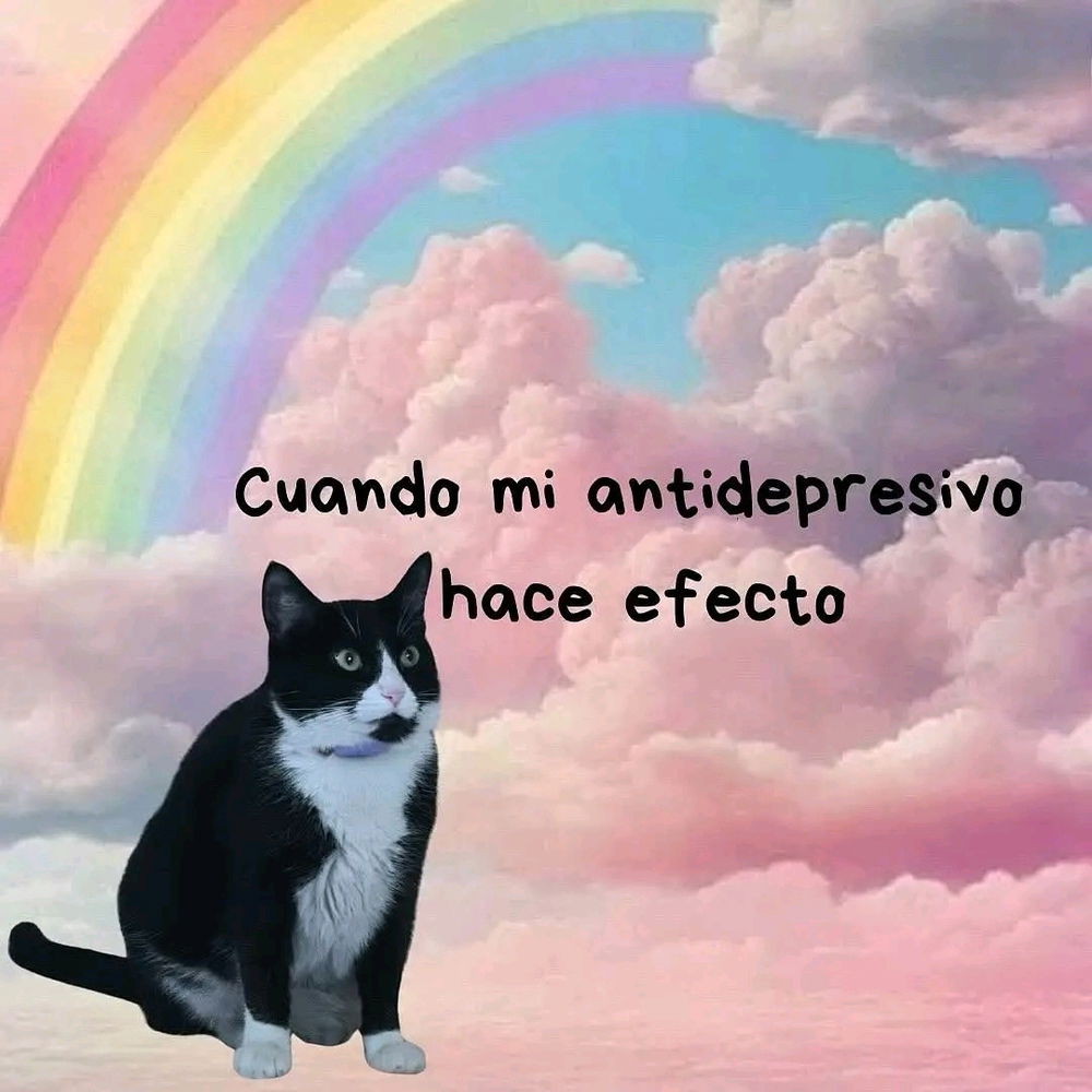 Feliz y colorida