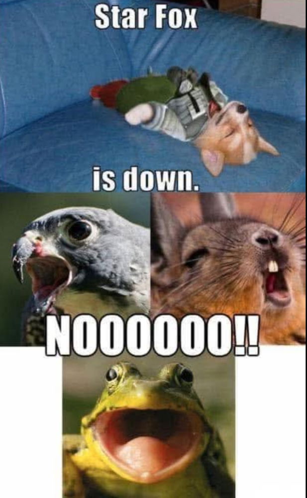 Fox is down!