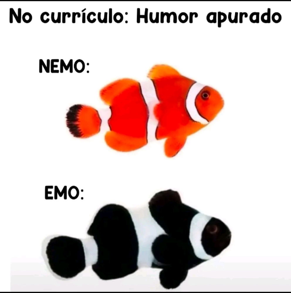 Quer a verdade Murray???