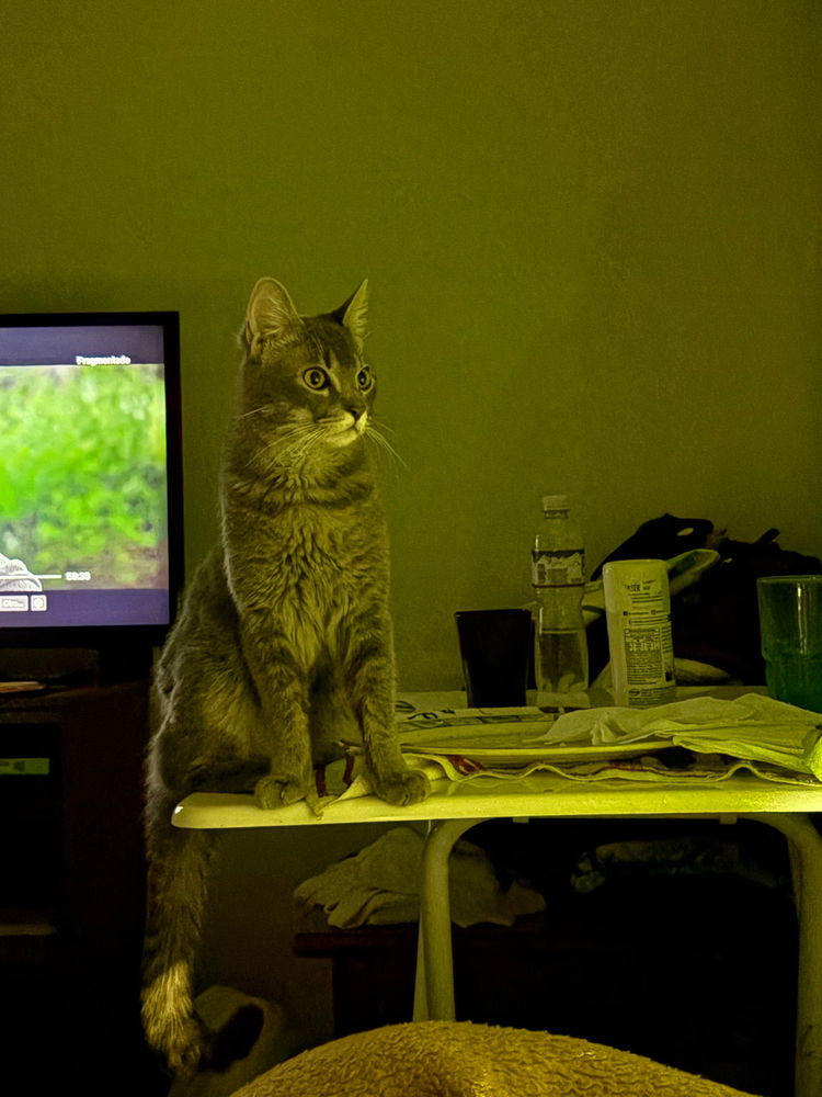 kenny :3