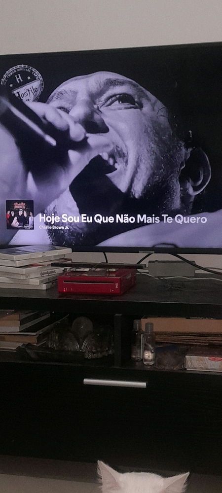 Só música boa