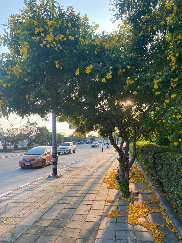 Walking