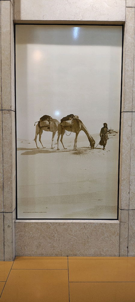 Dubai metro
