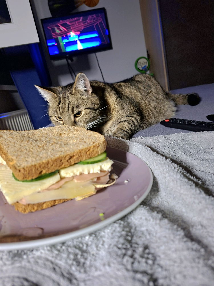 Midnight Cheese