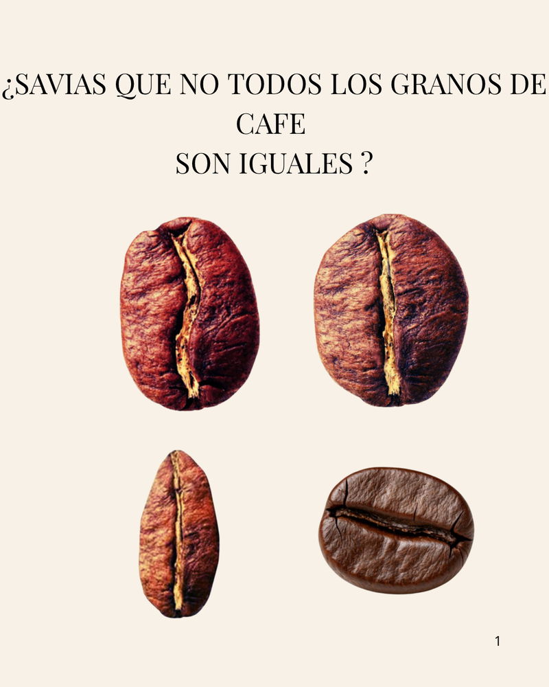De la tierra al fruto