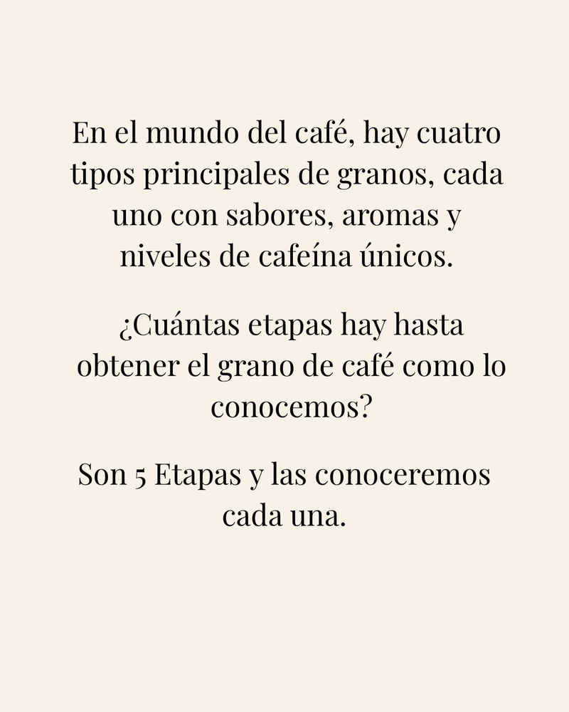 De la tierra al fruto