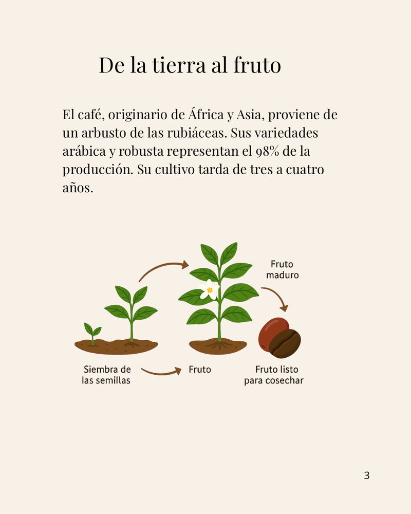 De la tierra al fruto