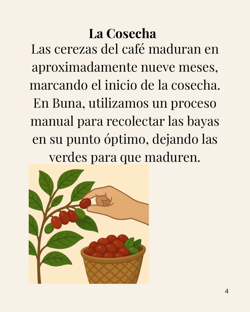 De la tierra al fruto