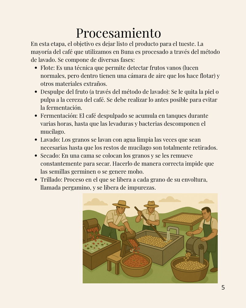 De la tierra al fruto