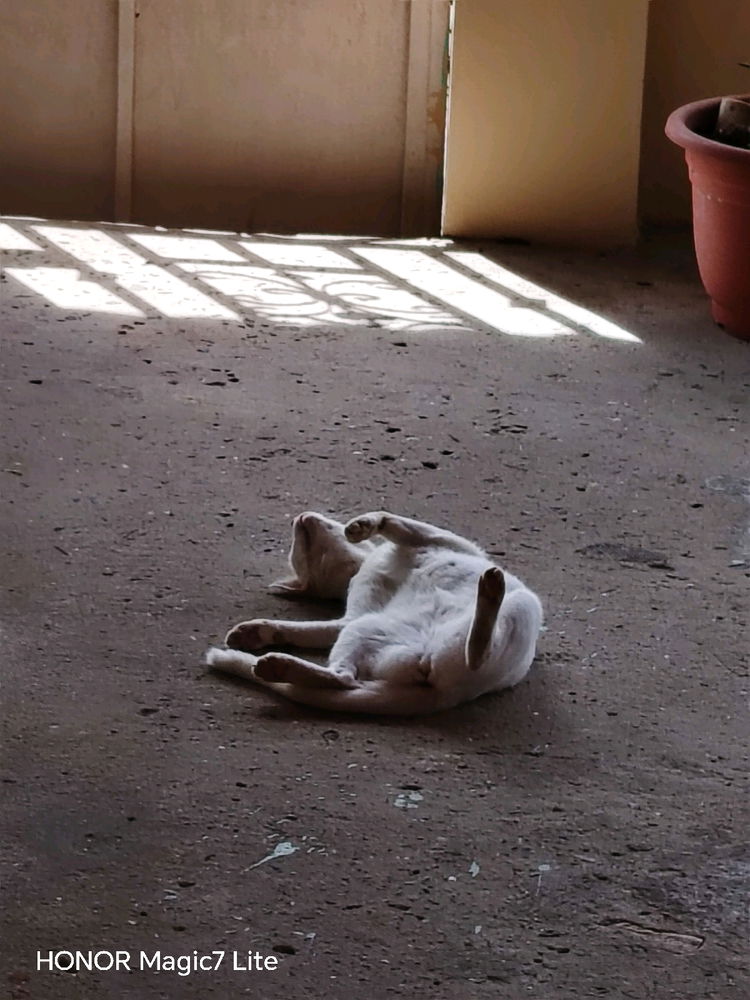 Mika y Michi