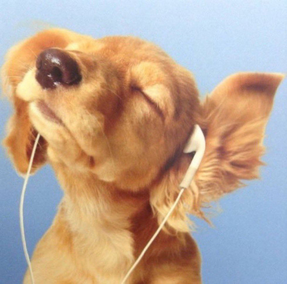 música realmente salva minha vida