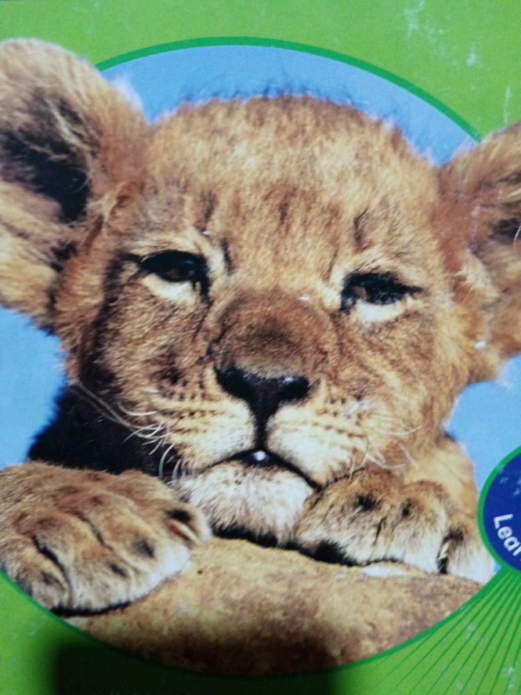 Arise, Lion within