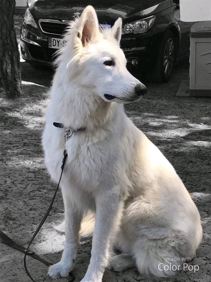 Mon pépère