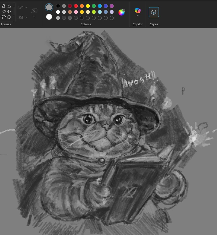 Gato mago
