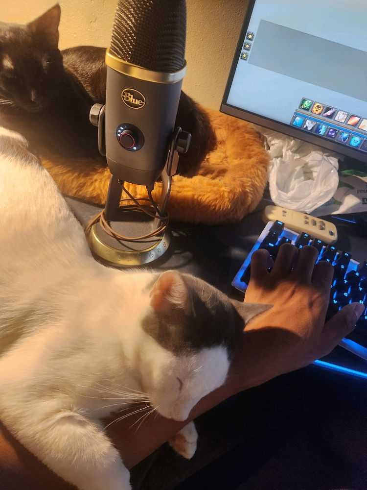 Purrfect posture