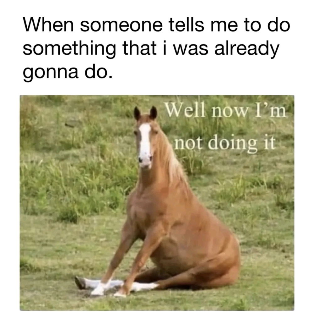 🤷🏻‍♀️