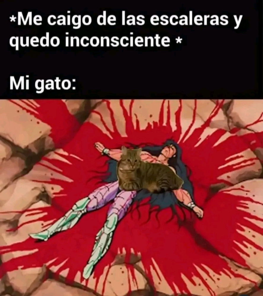 😆