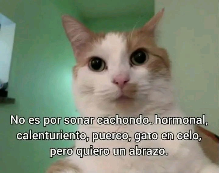 Esto no es un meme
