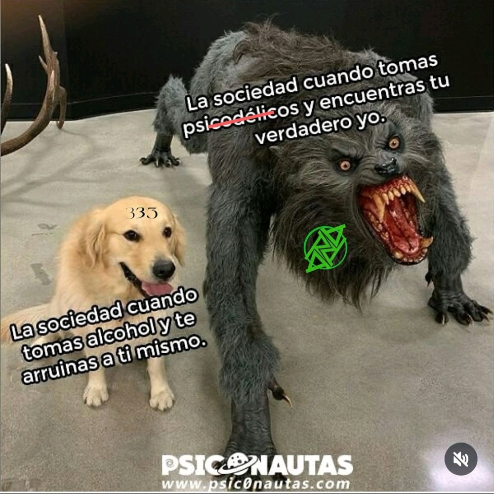 Buenas noches pandilla. Ya mañanita ombligo de semana. ✨️👌🏾