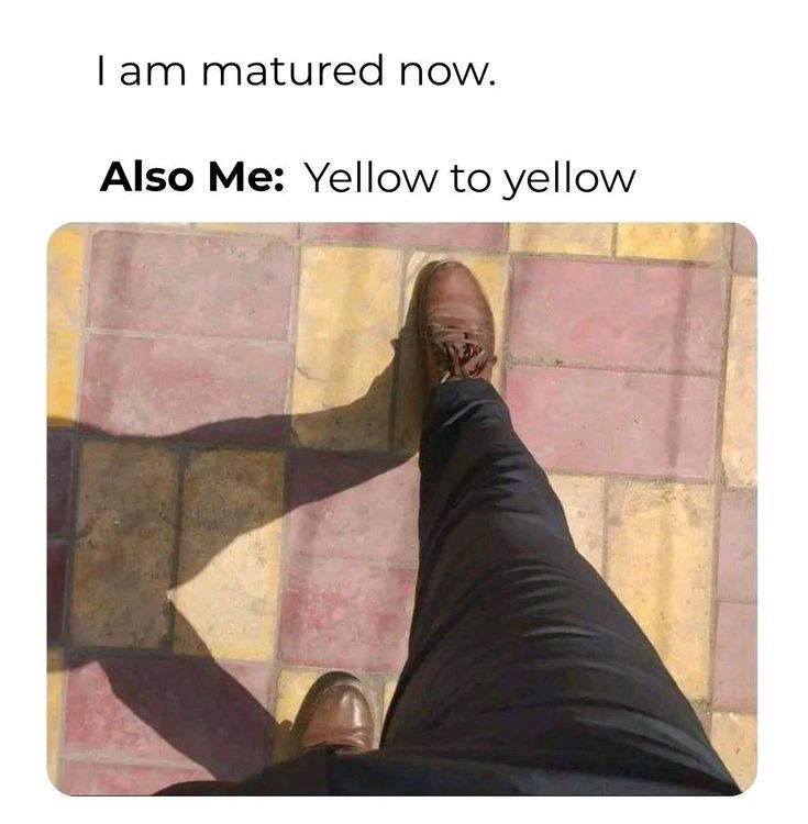 🤷‍♀️🤣