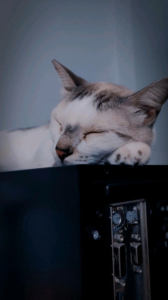 A mimir