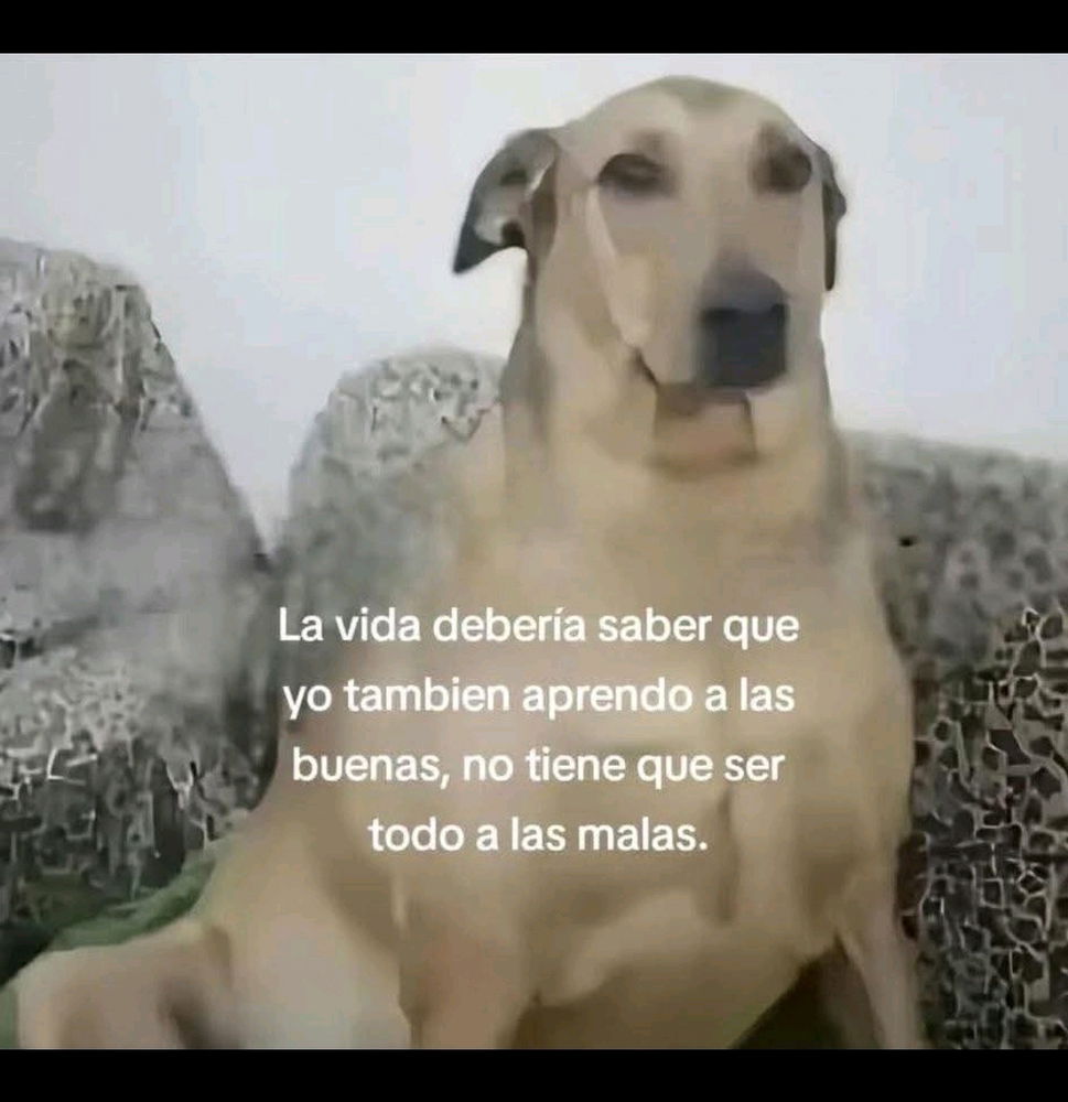 😆