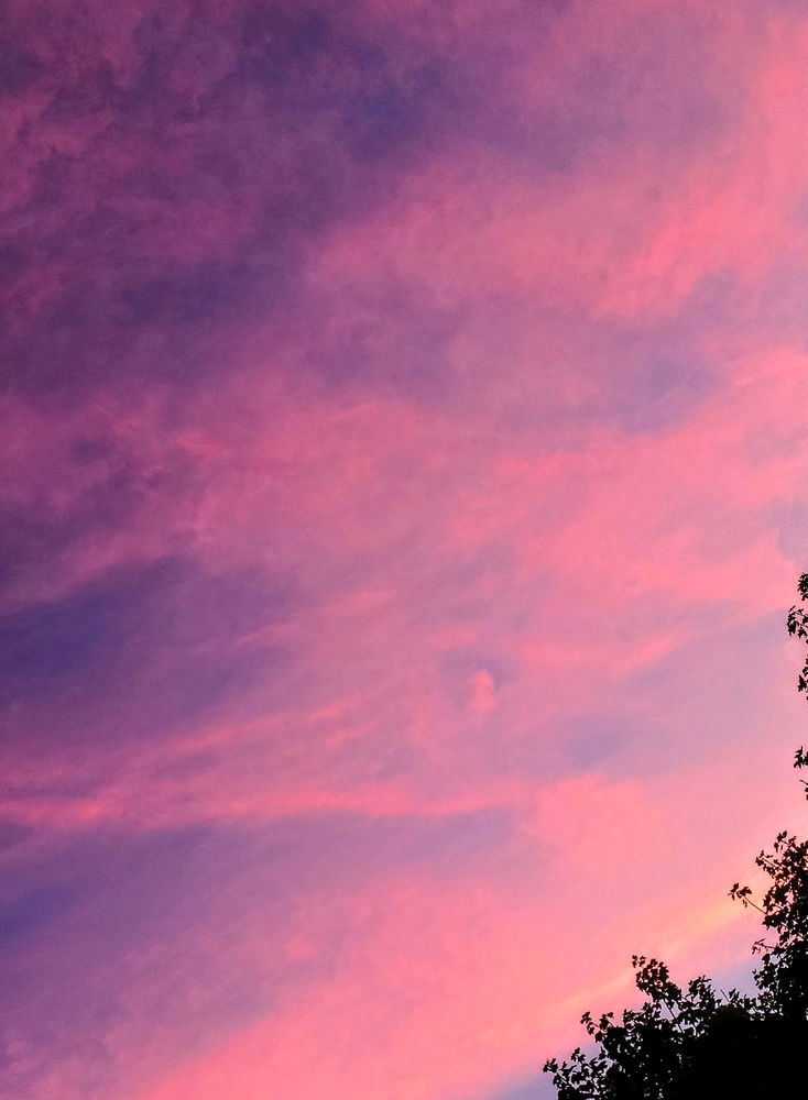 🌅