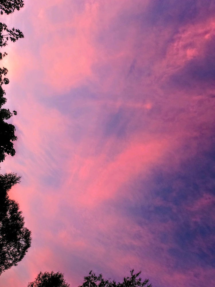 🌅