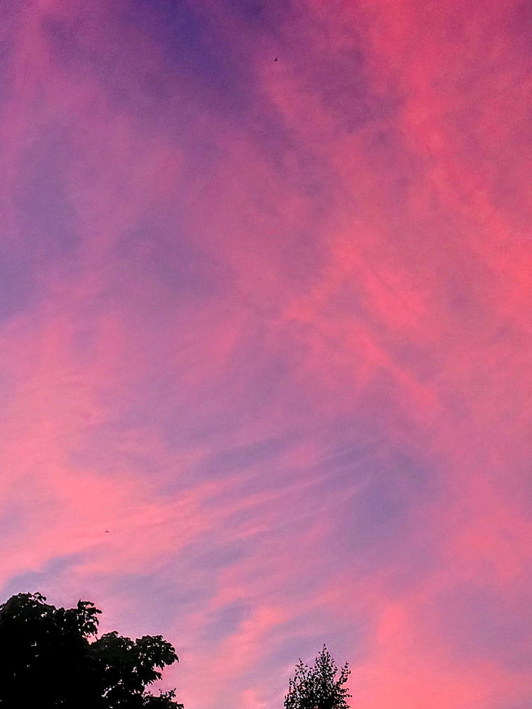 🌅