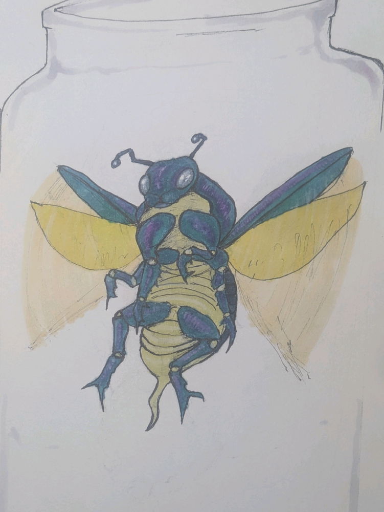 ‌