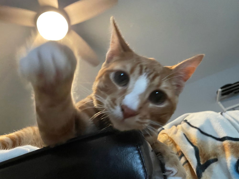 Got you