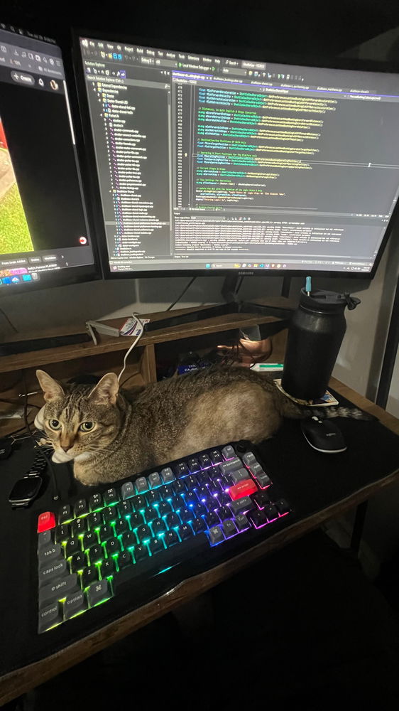 Lord Gizmo Insists I Get No Work Done Tonight 🤦🏼‍♂️