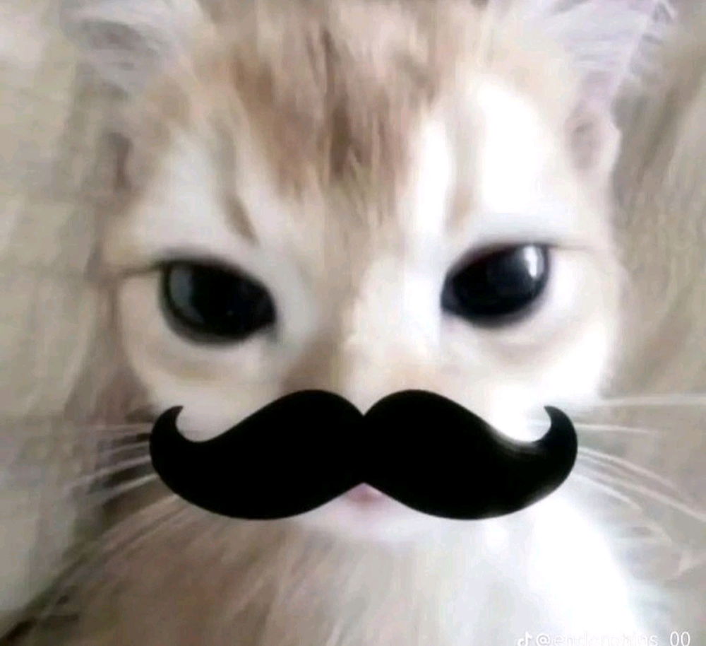 Yo