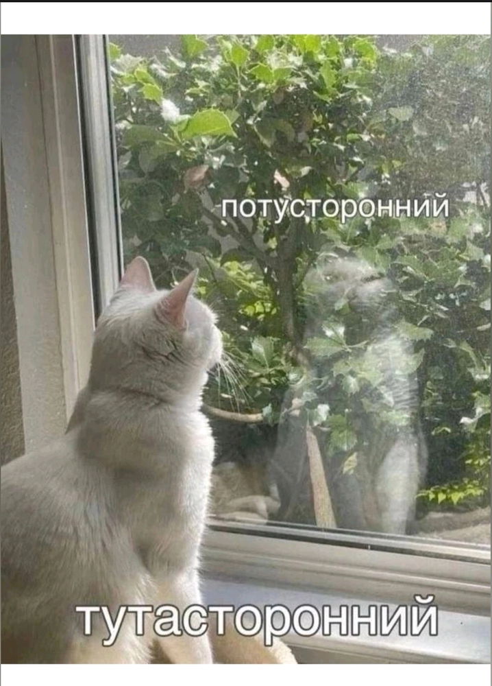 Мистика😁