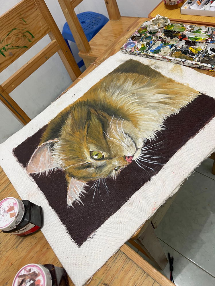 Cat Potrait