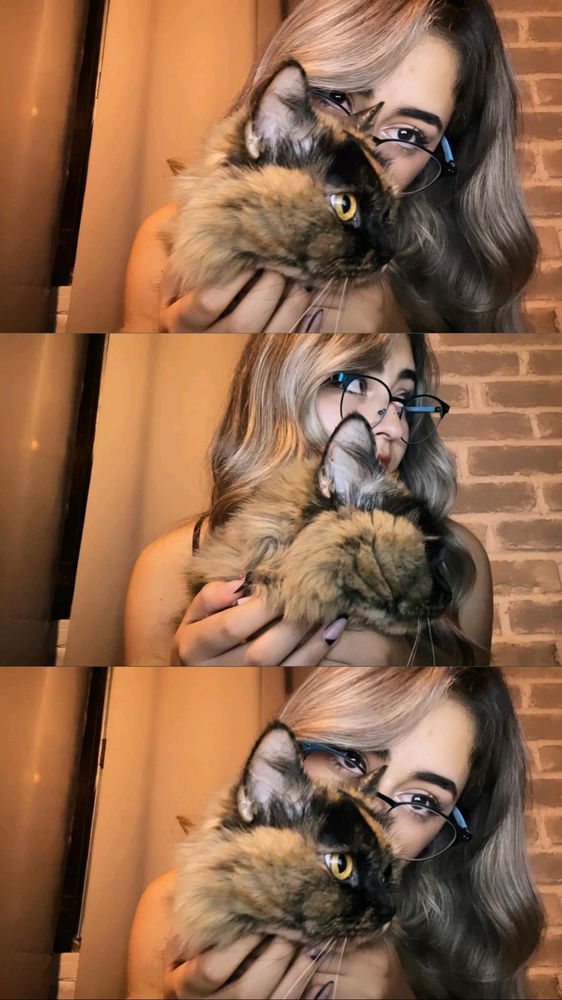 💖✨