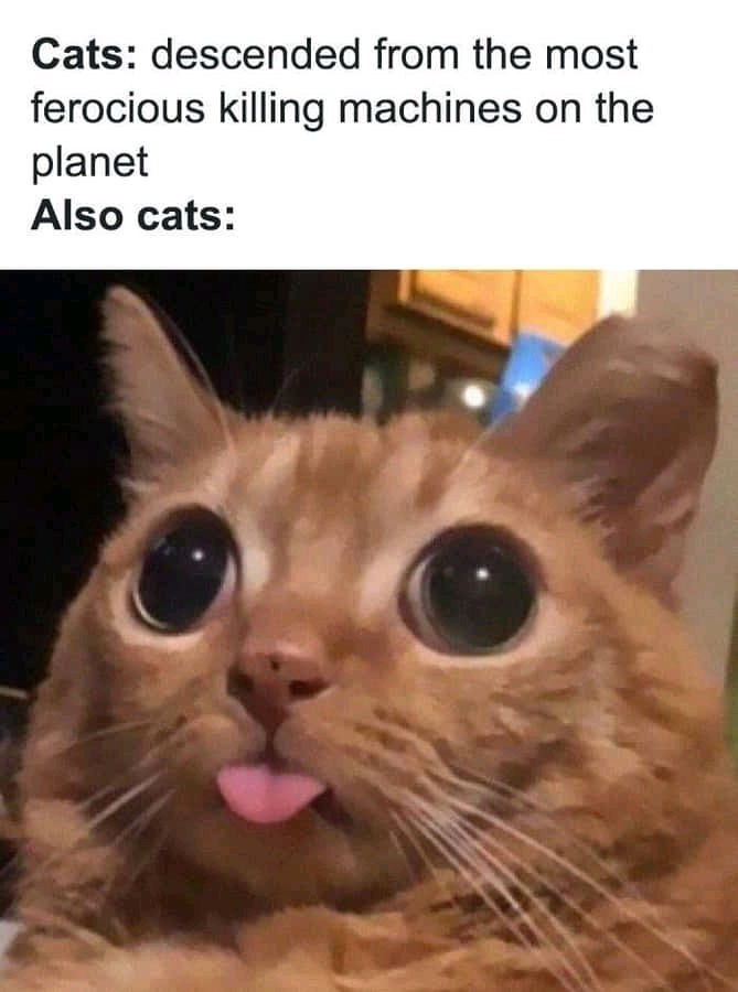 😂