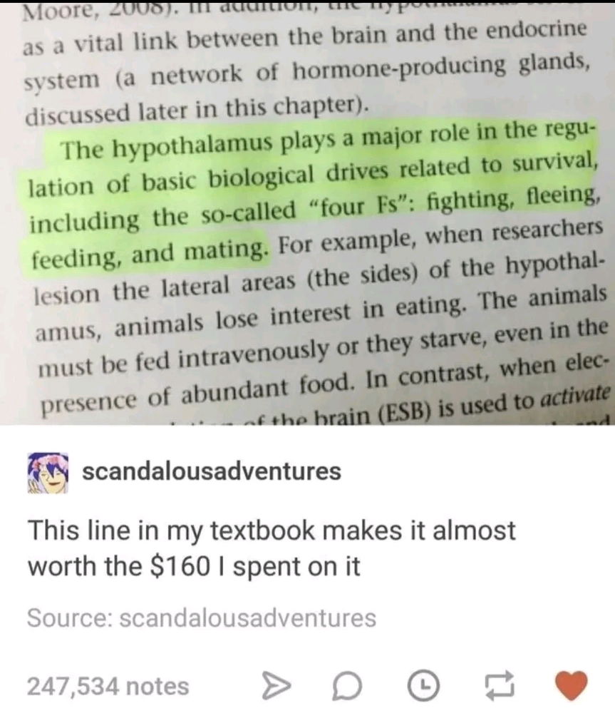 FFFF
