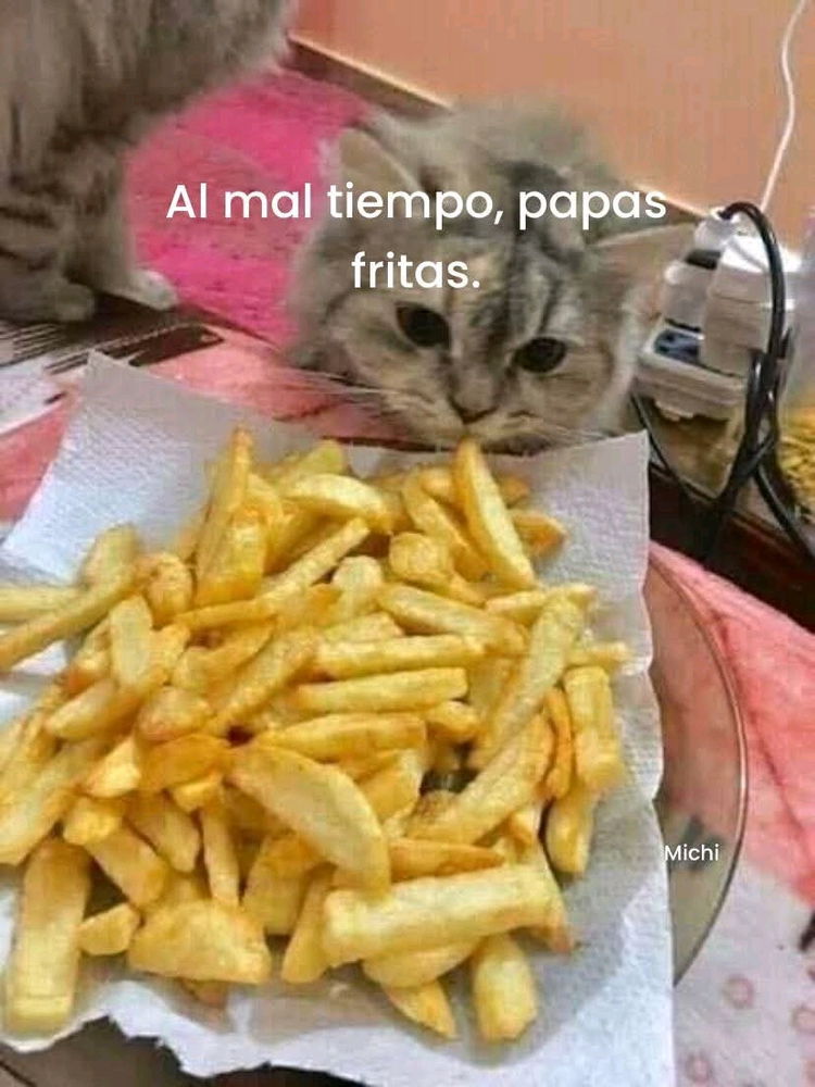 5 likes y me declaro a la que me gusta 🙂
