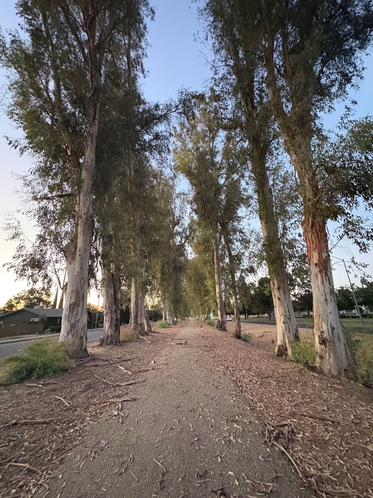 Tonight’s walk