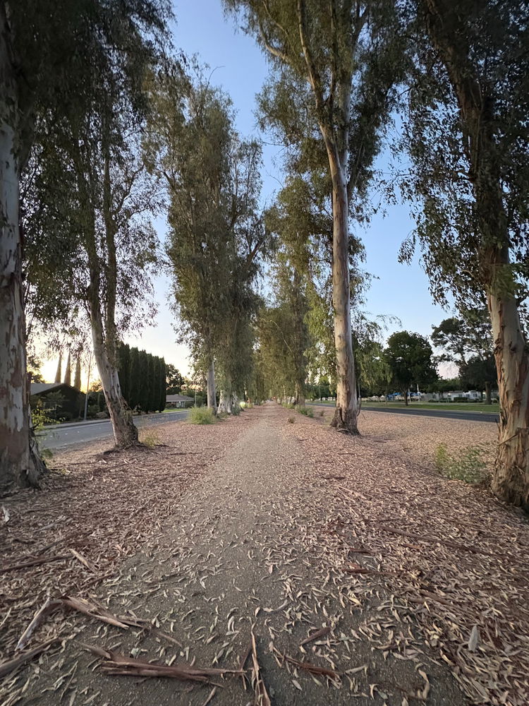 Tonight’s walk