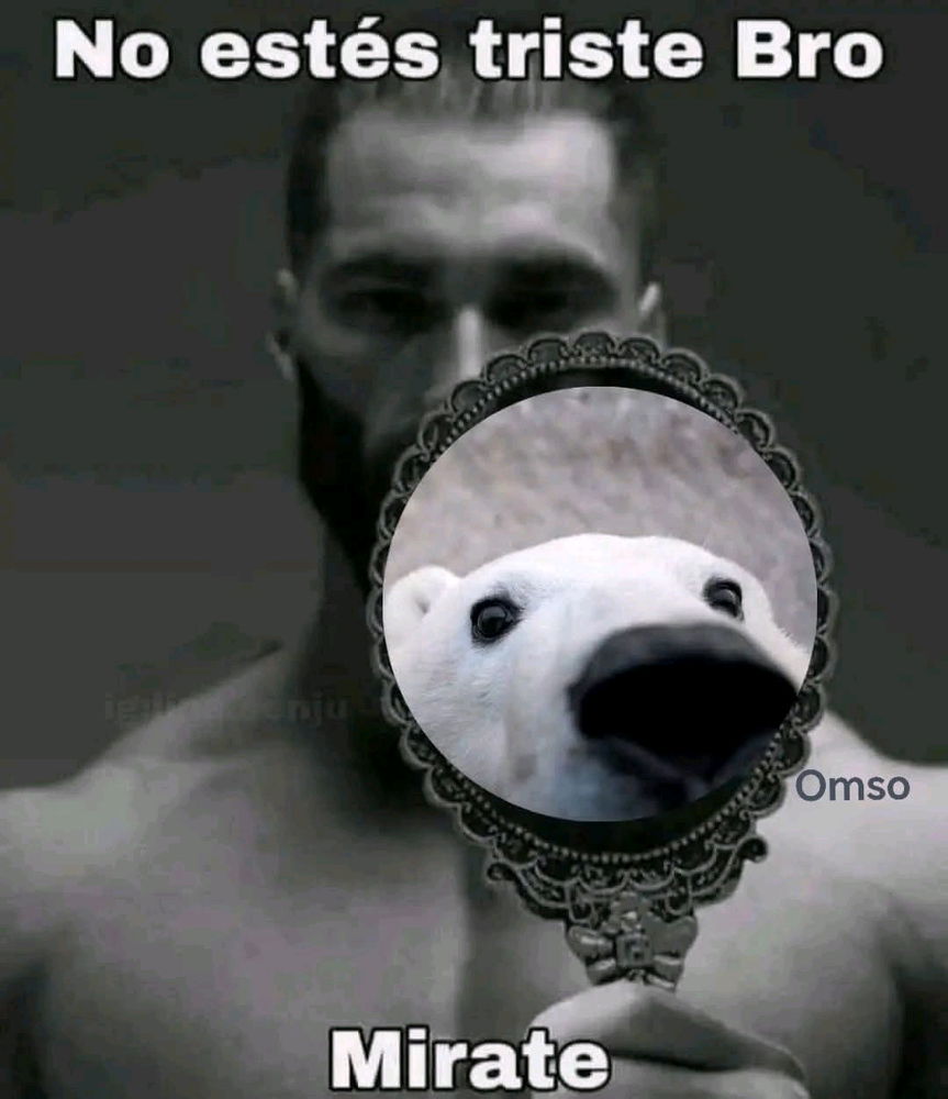 Ella no te merece bro...