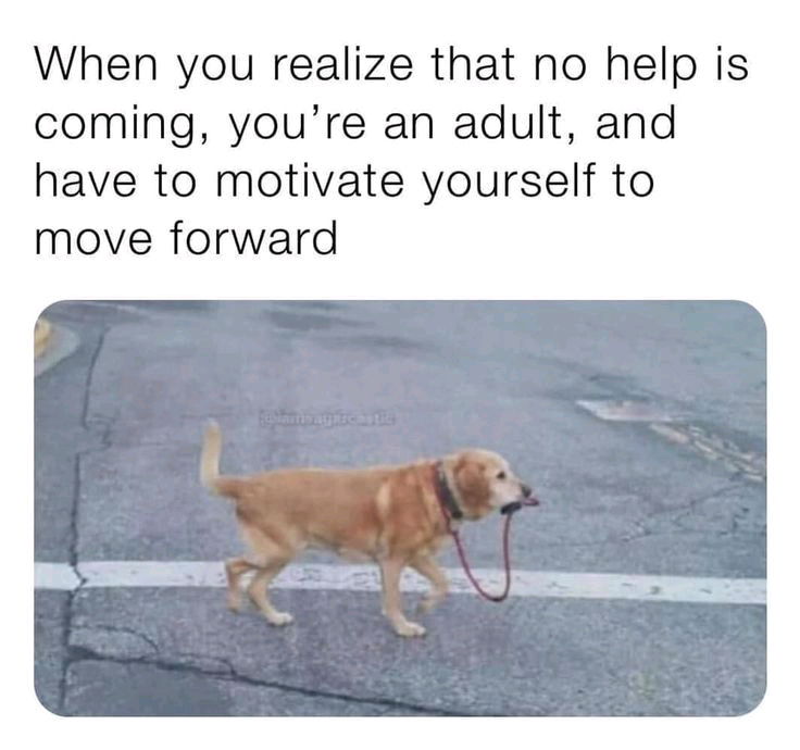 🐕‍🦺