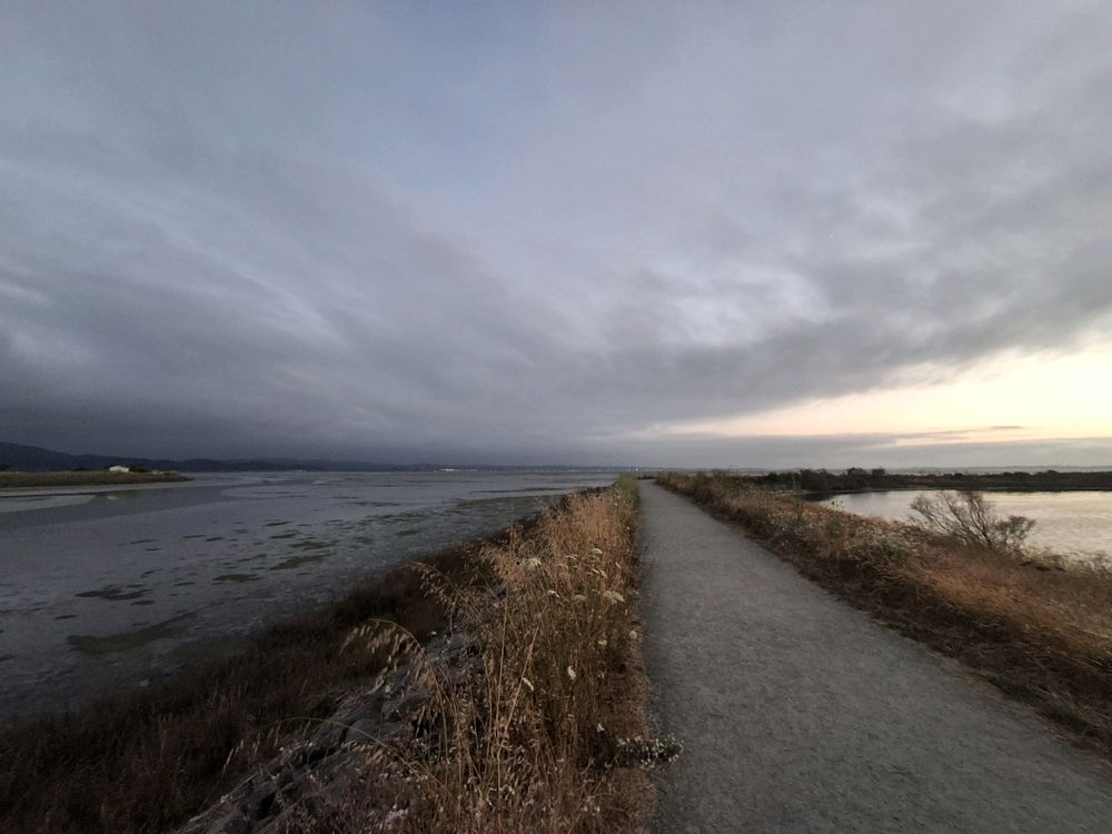 Sundown at the Marsh