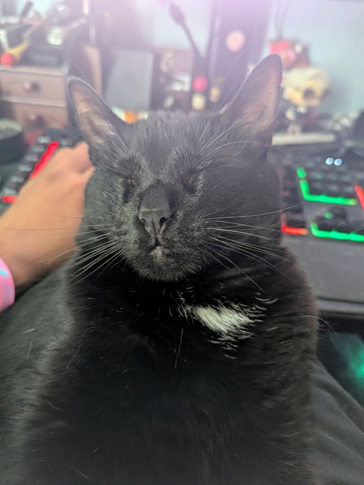 My gaming buddy